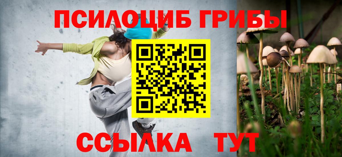 Галлюциногенные грибы прущие грибы Нововоронеж