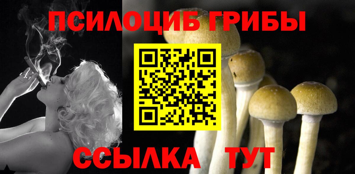 Нововоронеж  Галлюциногенные грибы Psilocybine cubensis  Вход с VPN  Галлюциногенные грибы прущие грибы 